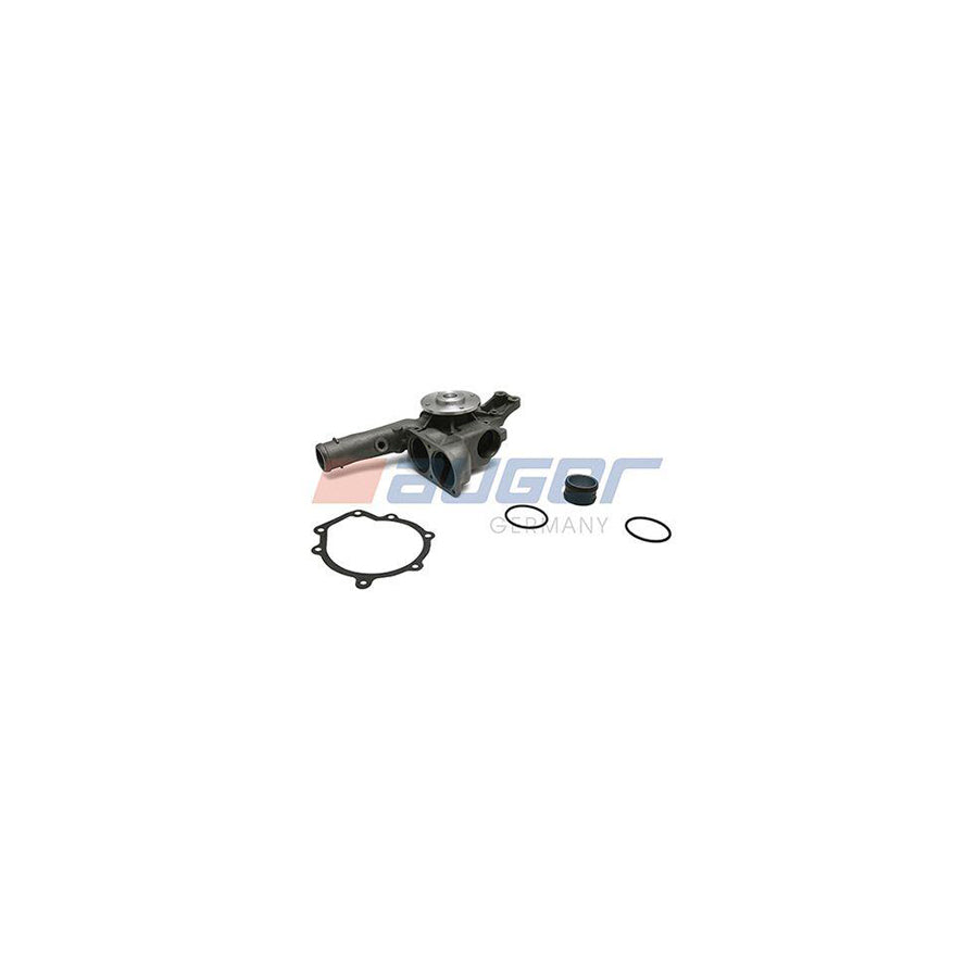 Auger 81828 Water Pump