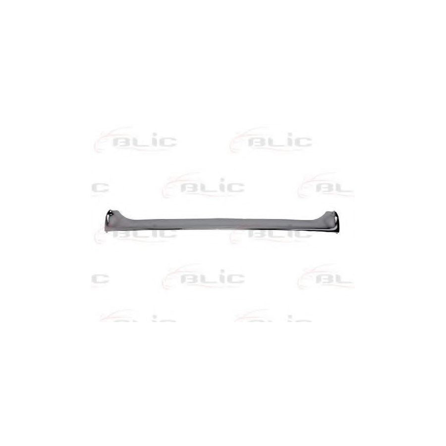 Blic 6502-07-6050991P Trim / Protective Strip, Radiator Grille For Renault Fluence (L3_)