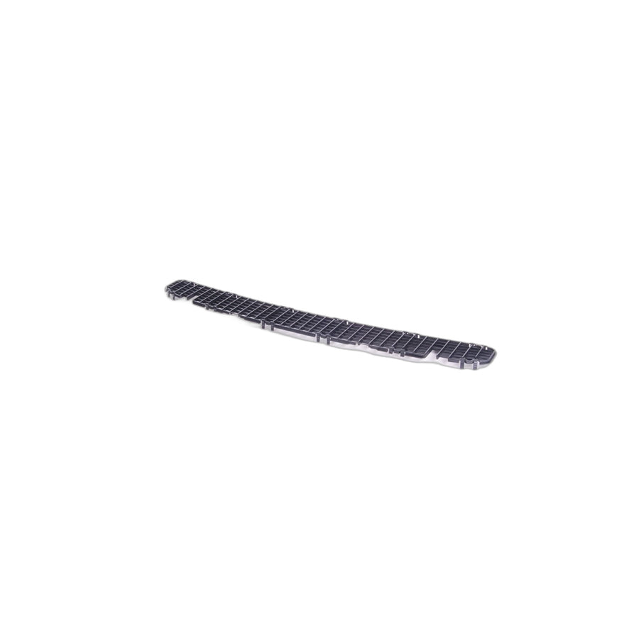 Genuine BMW 51138220766 E46 Grid (Inc. 320td, 328Ci & 325Ci) | ML Performance UK Car Parts