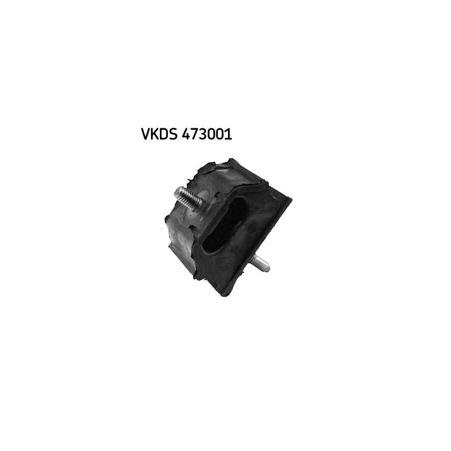 Skf Vkds 473001 Axle Bush | ML Performance US Car Parts