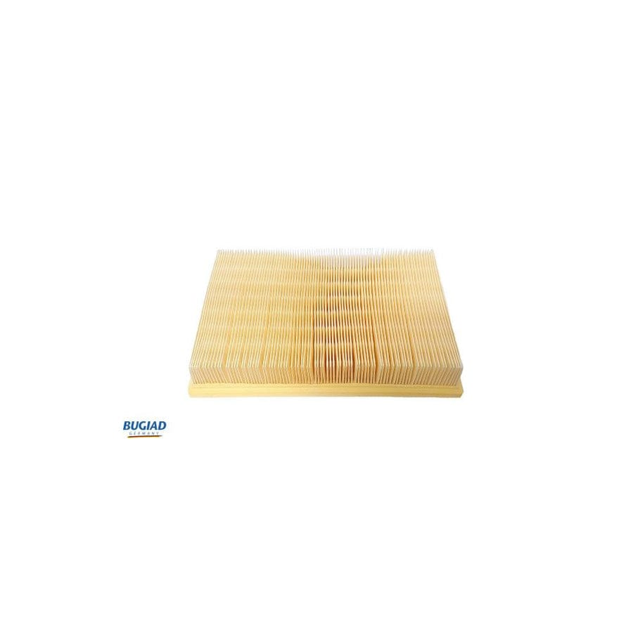 Bugiad BSP21018 Air Filter