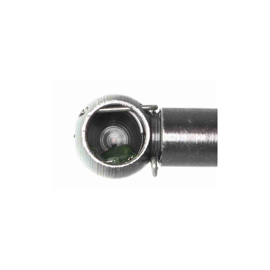 Ackoja A32-0075 Tailgate Strut For Mazda 323 | ML Performance US