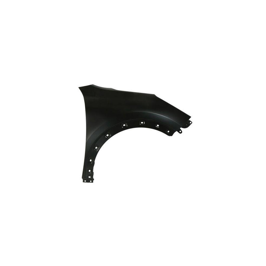 Blic 6504-04-1618312P Wing Fender For Kia Niro (De)