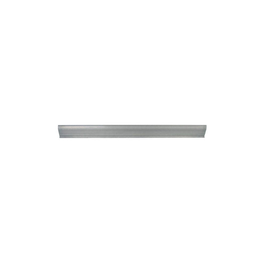 Blic 6505-06-6409016P Rocker Panel
