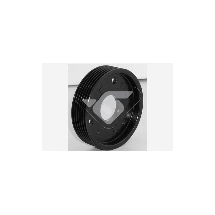 Hutchinson P2000 Pulley, Alternator