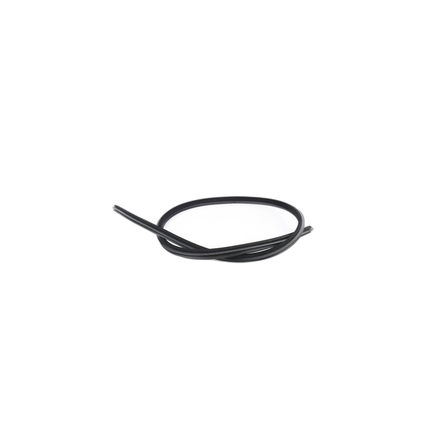 Genuine BMW 51767162403 E93 Door Weatherstrip Left (Inc. 320i, 330d & 328i) | ML Performance US Car Parts