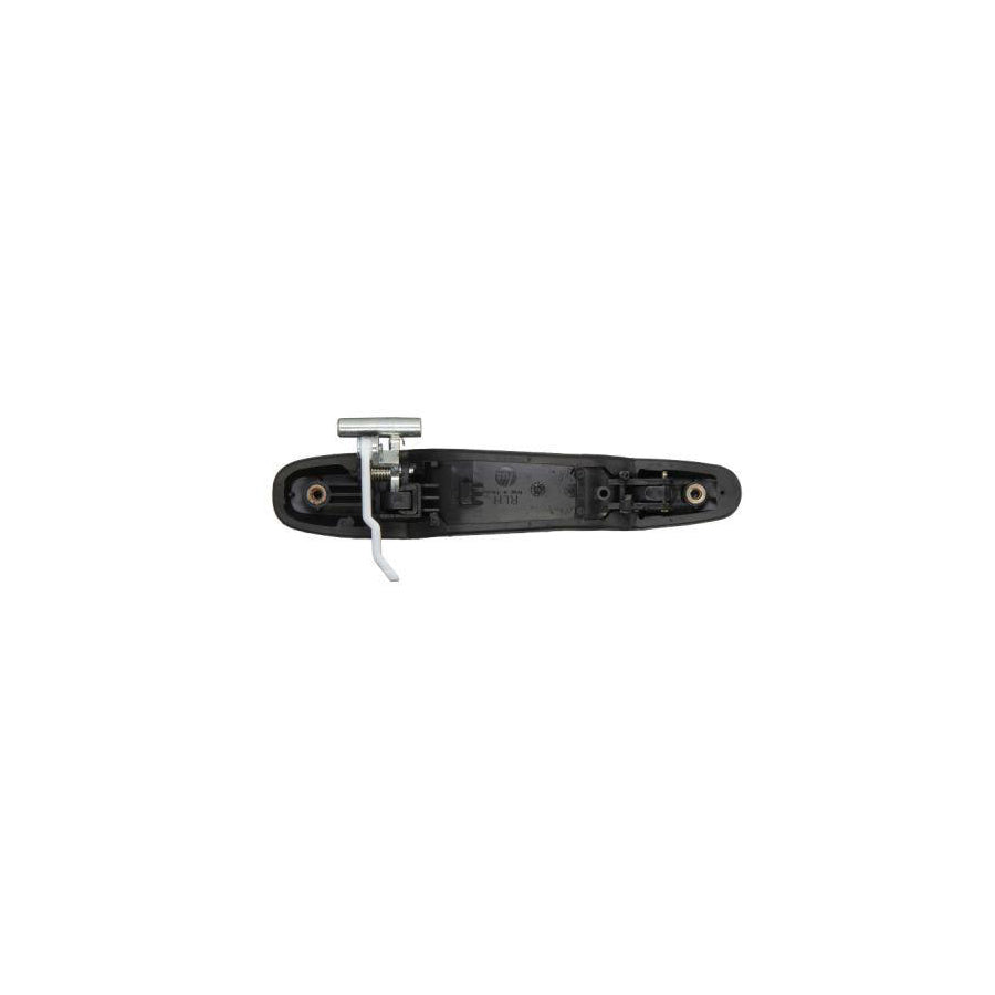 Blic 6010-19-005403P Door Handle For Lexus Rx I (Xu10)
