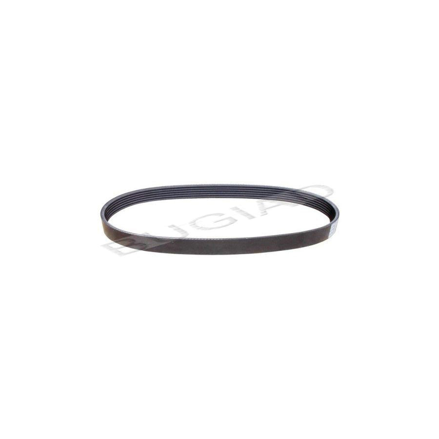 BUGIAD Bsp21813 V-Ribbed Belt