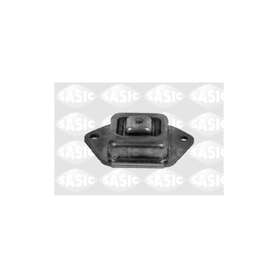 Sasic 1315C85 Axle Bush For Citroën C5