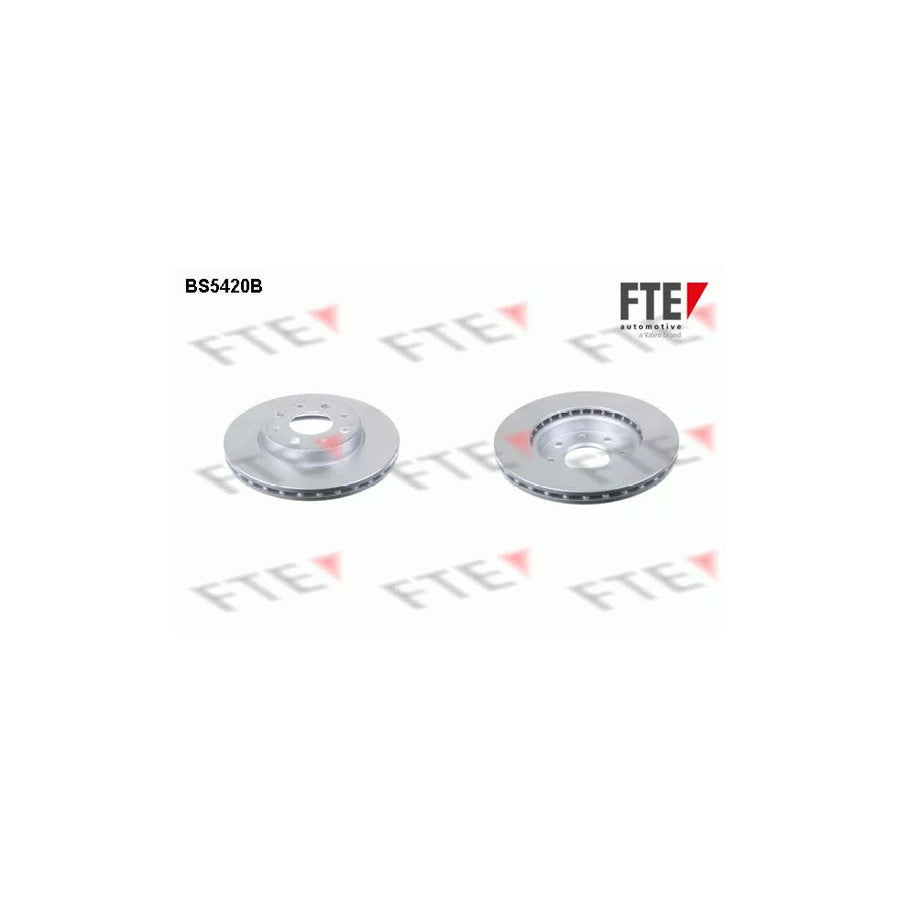 FTE Bs5420B Brake Disc