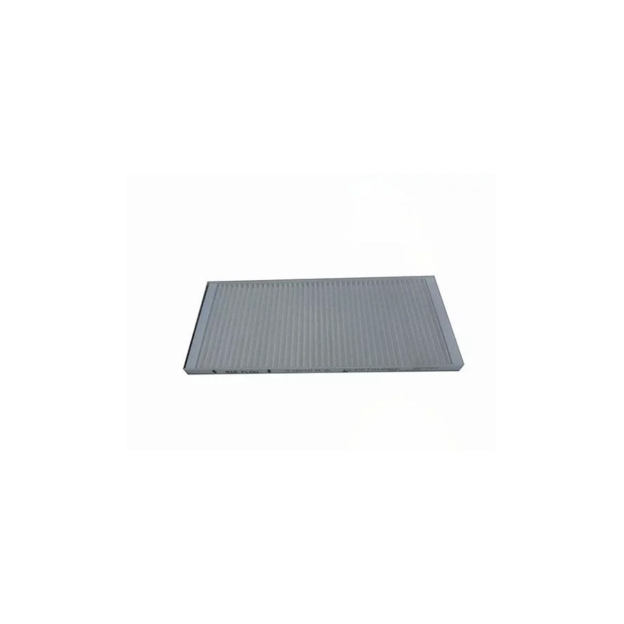 Fleetguard Af55816 Pollen Filter