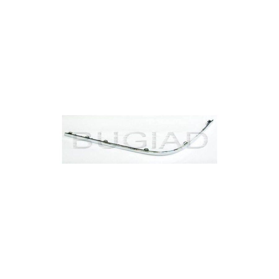 BUGIAD Bsp21839 Cover, Bumper for VW Passat B6 Saloon (3C2)