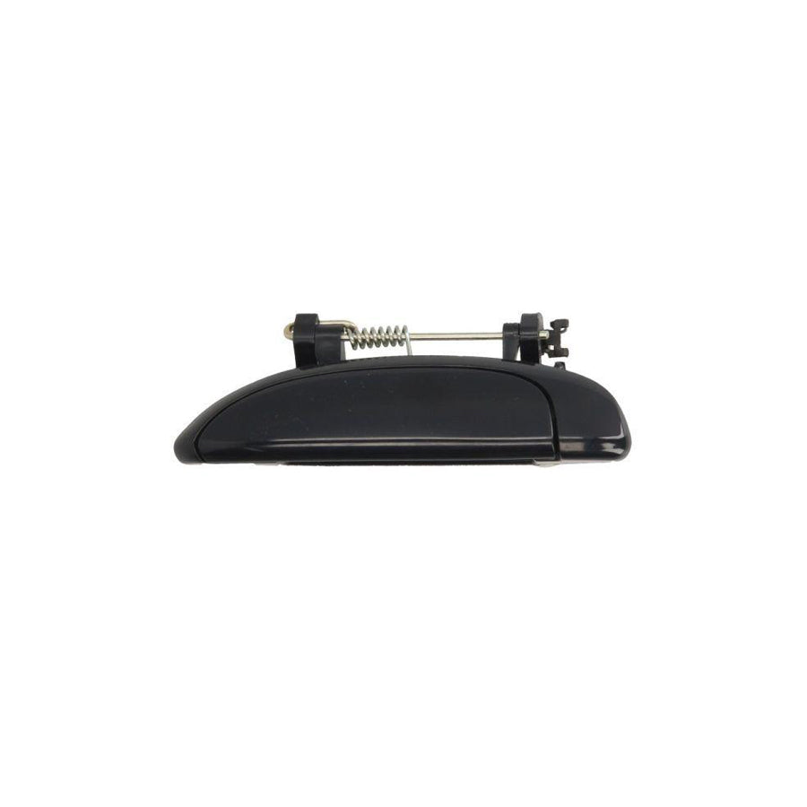 Blic 6010-19-030401Pp Door Handle