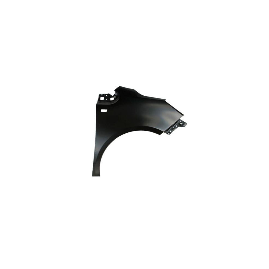 Blic 6504-04-5027312P Wing Fender For Opel Meriva B (S10)