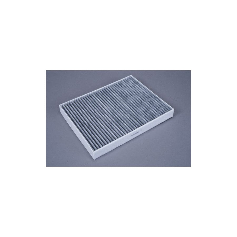 AUTOMEGA 180049410 Pollen Filter