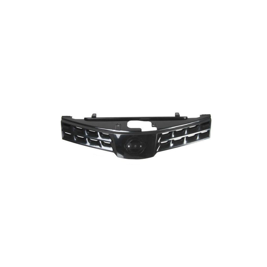 Blic 6502-07-1635990P Radiator Grille