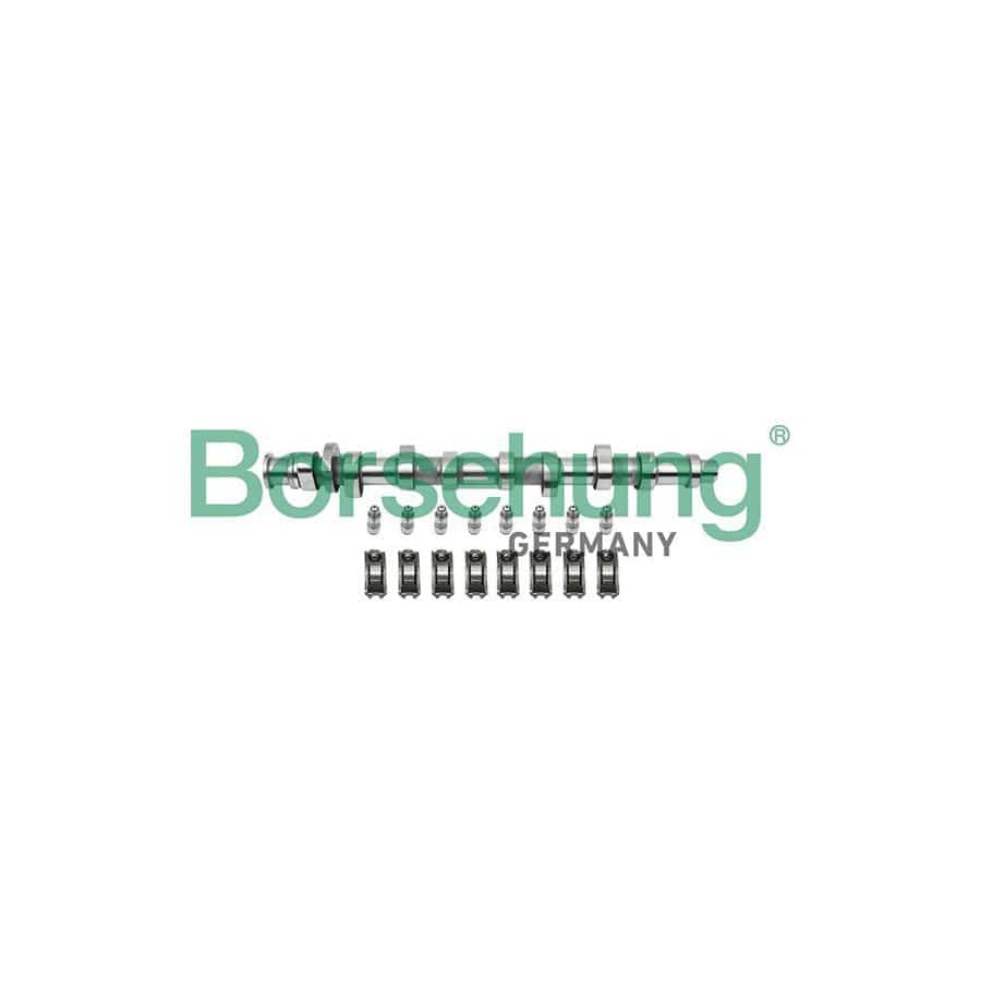 Borsehung B18859 Repair Kit, Intermediate Shaft