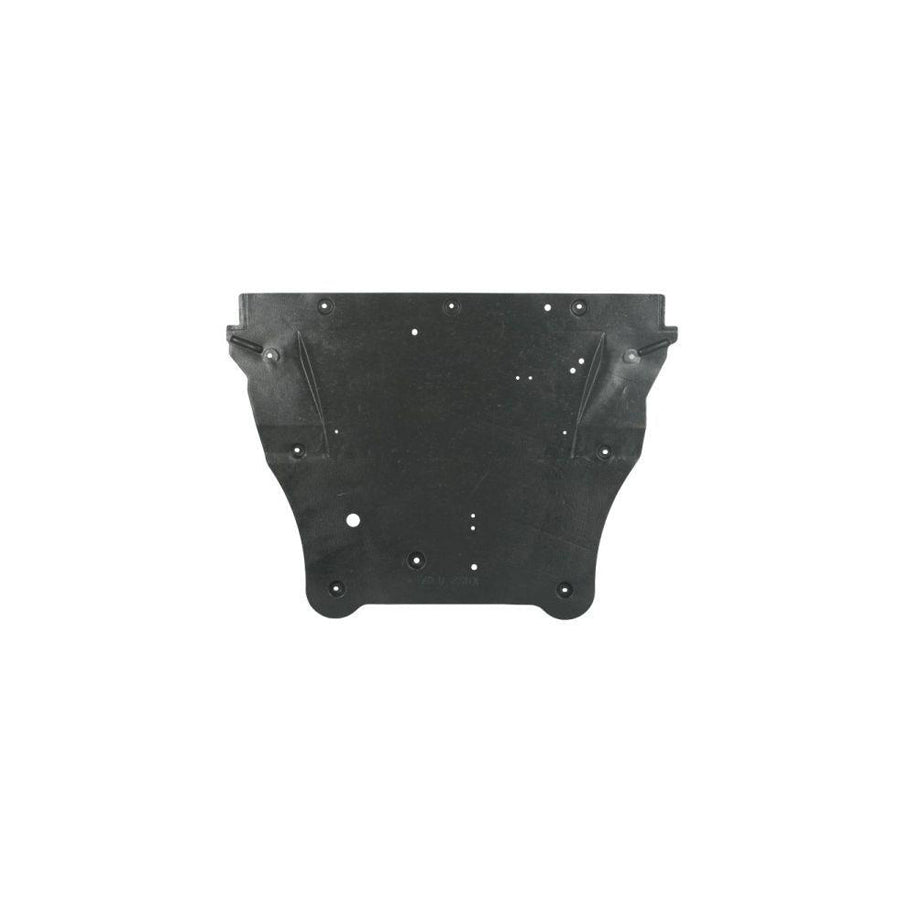 Blic 6601-02-1617865P Engine Cover