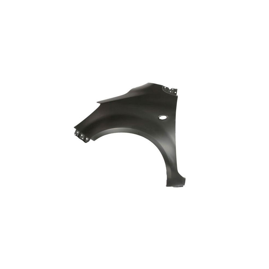 Blic 6504-04-5033311P Wing Fender For Opel Agila B (H08)