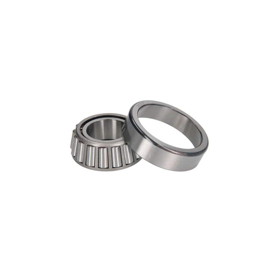 BTA B01-184088 Wheel Bearing