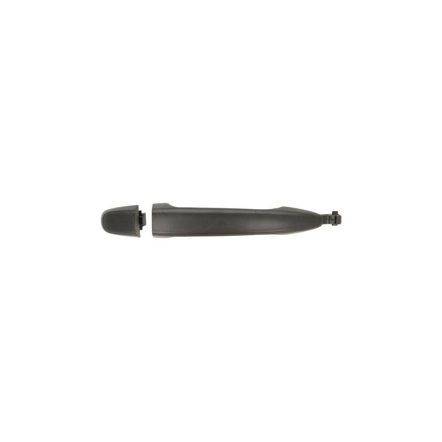 Blic 6010-19-051406P Door Handle