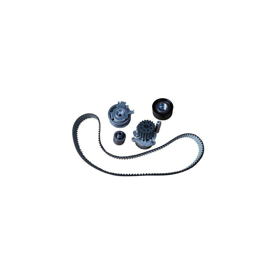 BUGIAD Btb56505 Water Pump And Timing Belt Kit