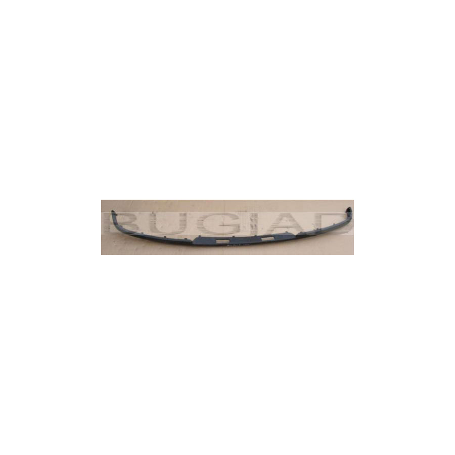 BUGIAD Bsp20383 Cover, Bumper for VW Polo IV Hatchback (9N)