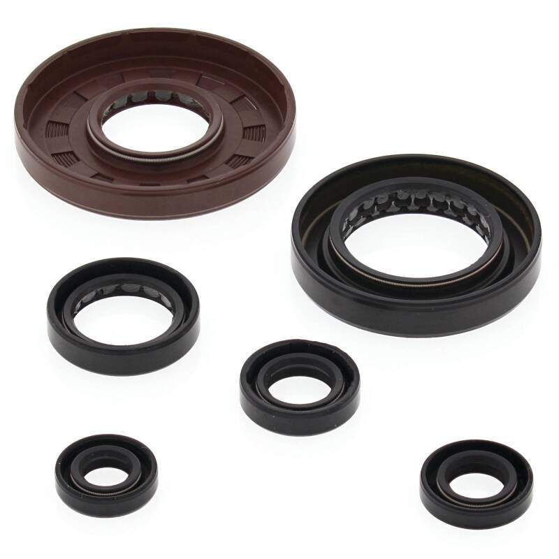 Vertex Pistons Vertex Gaskets 05-11 Honda TRX500FE Oil Seal Kit