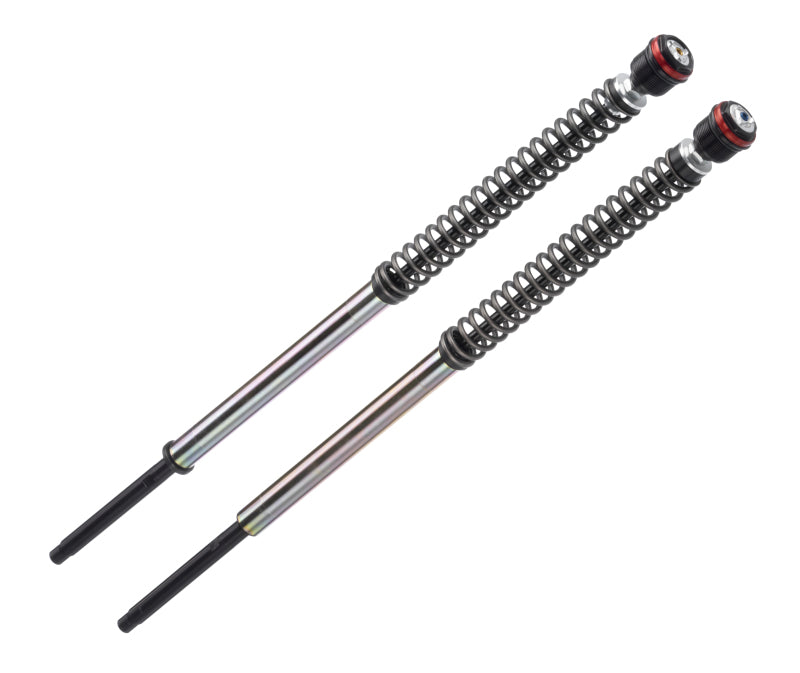 Bitubo Suspension Bitubo JBH0 Pressurized Cartridge Adj.: Spring Preload, Rebound, Comp., w/o Oil, Red Ring