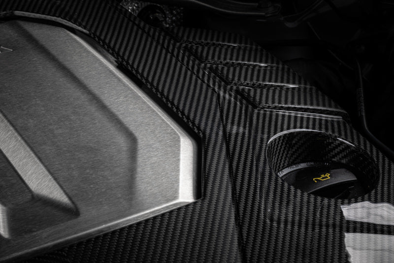 APR 21-26 Audi RS6 Avant/RS7 Sportback EA825 (C8) 4.0T Carbon Fiber Engine Cover