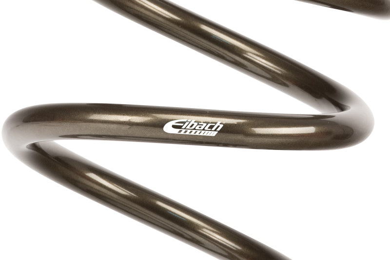 Eibach Platinum Series Dirt Modified Front Springs 9.5in L 3.86in ID 5in OD 350 LB