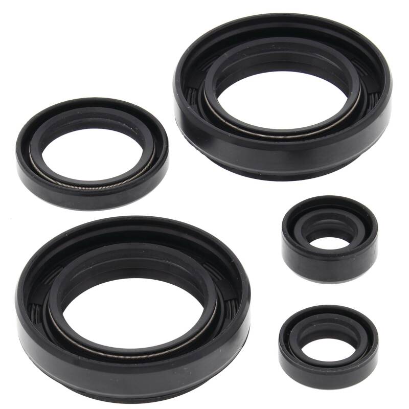 Vertex Pistons Vertex Gaskets 03-04 Arctic Cat 400 4x4 w/MT Oil Seal Kit