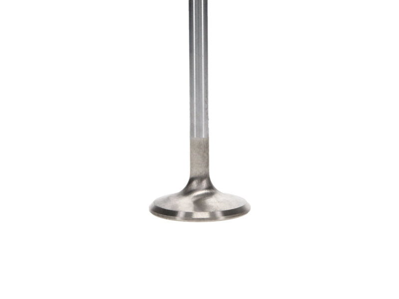Manley Performance Manley 99-10 Dodge Viper 1.600in Diameter 5.770in Length Race Master Exhaust Valve (Single)