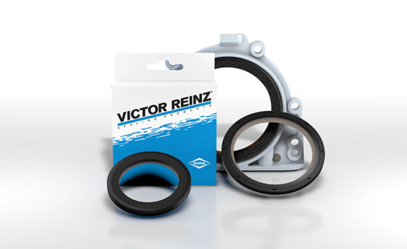 Victor Reinz MAHLE Original 3.1 O-Ring