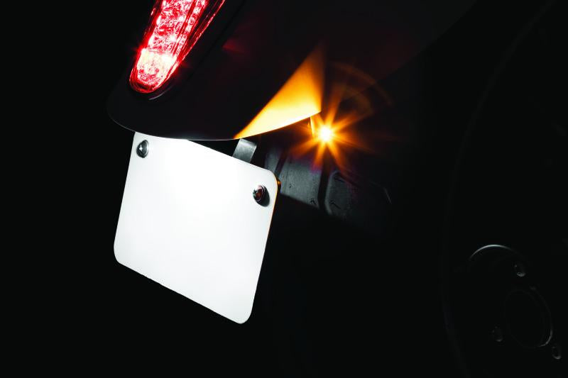 Kuryakyn Rear Turn Signal / License Plate Mount Scout