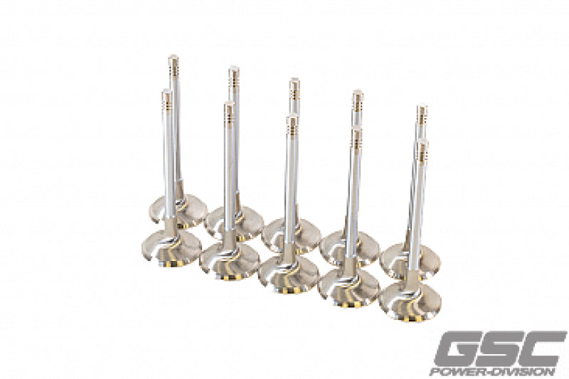 GSC Power Division GSC P-D Audi DAZA 33.9mm Head STD 104mm Long Chrome Polished Intake Valve - Set of 10