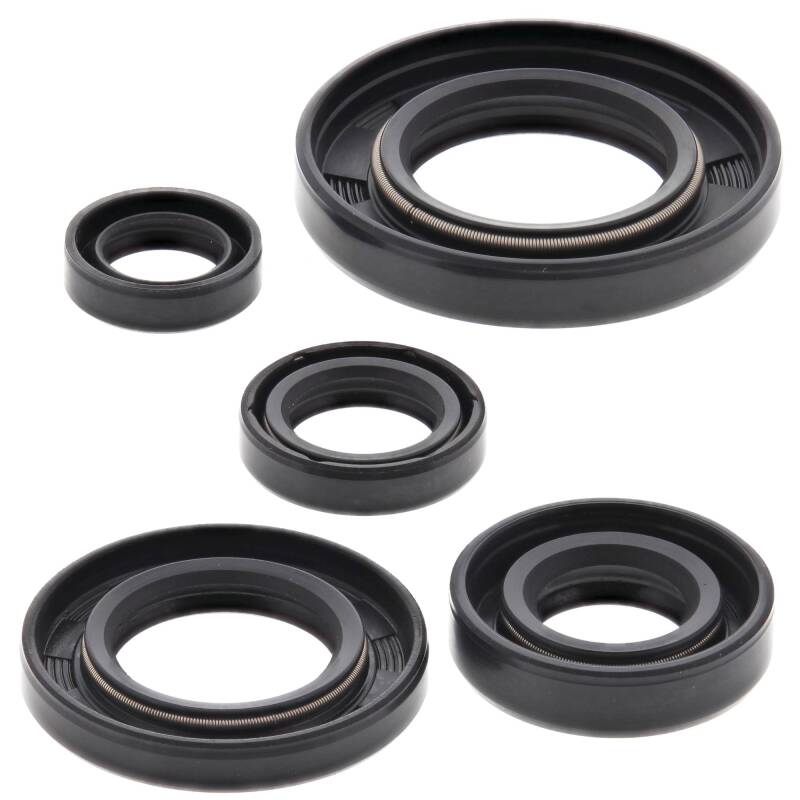 Vertex Pistons Vertex Gaskets 93-17 Honda XR650L Oil Seal Kit