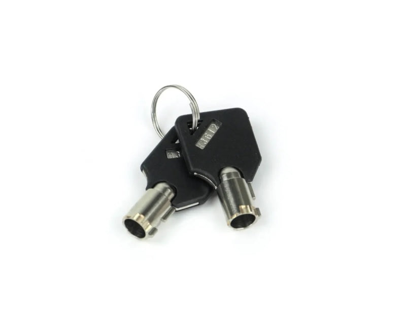 Weigh Safe Keys (Requires Key Code) - Set of 2