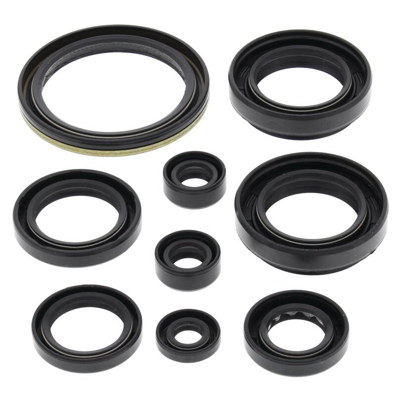 Vertex Pistons Vertex Gaskets 00-02 Arctic Cat 500 4x4 w/AT Oil Seal Kit