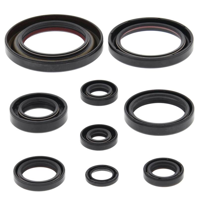 Vertex Pistons Vertex Gaskets 06-14 Honda TRX450ER Oil Seal Kit