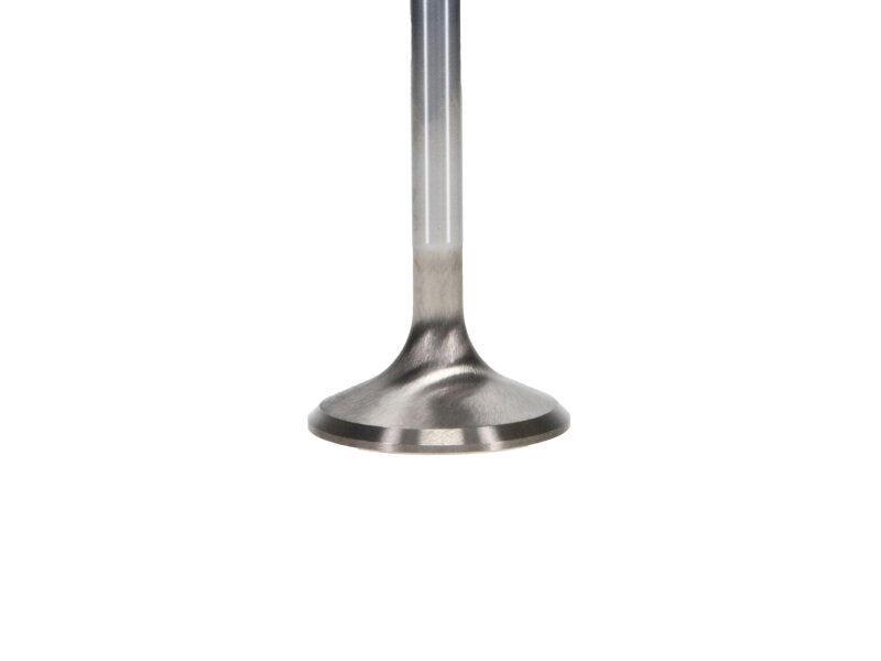 Manley Performance Manley Chrysler Hemi 6.1L 1.625in Race Master B/L Exhaust Valves (Set of 8)