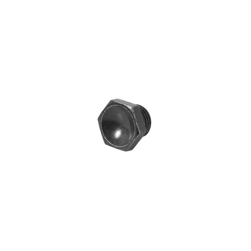 AEM High Volume Fuel Rail Port Plug