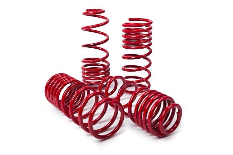 MTS Technik BMW Performance Springs - MTSXBM026 Lowering Springs - Set