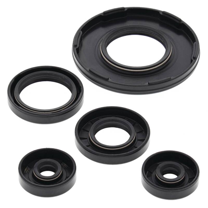 Vertex Pistons Vertex Gaskets 1995 Ski-Doo Formula MX Z 454 Oil Seal Kit