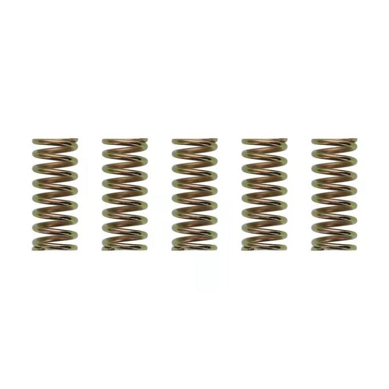 Wiseco XR400/TRX250/ATC250R Clutch Spring Kit
