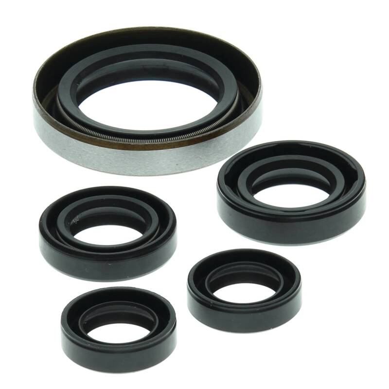 Vertex Pistons Vertex Gaskets 06-07 Polaris Outlaw 500 Oil Seal Kit