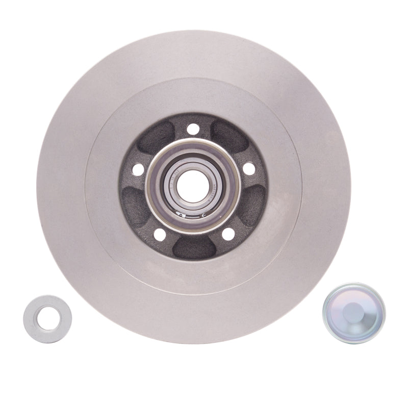 DFC 10-14 Renault Safrane (Mexico) Rear Brake Rotor