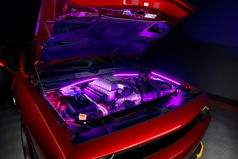 ORACLE Lighting Oracle Engine Bay LED Kit 48in - Pink