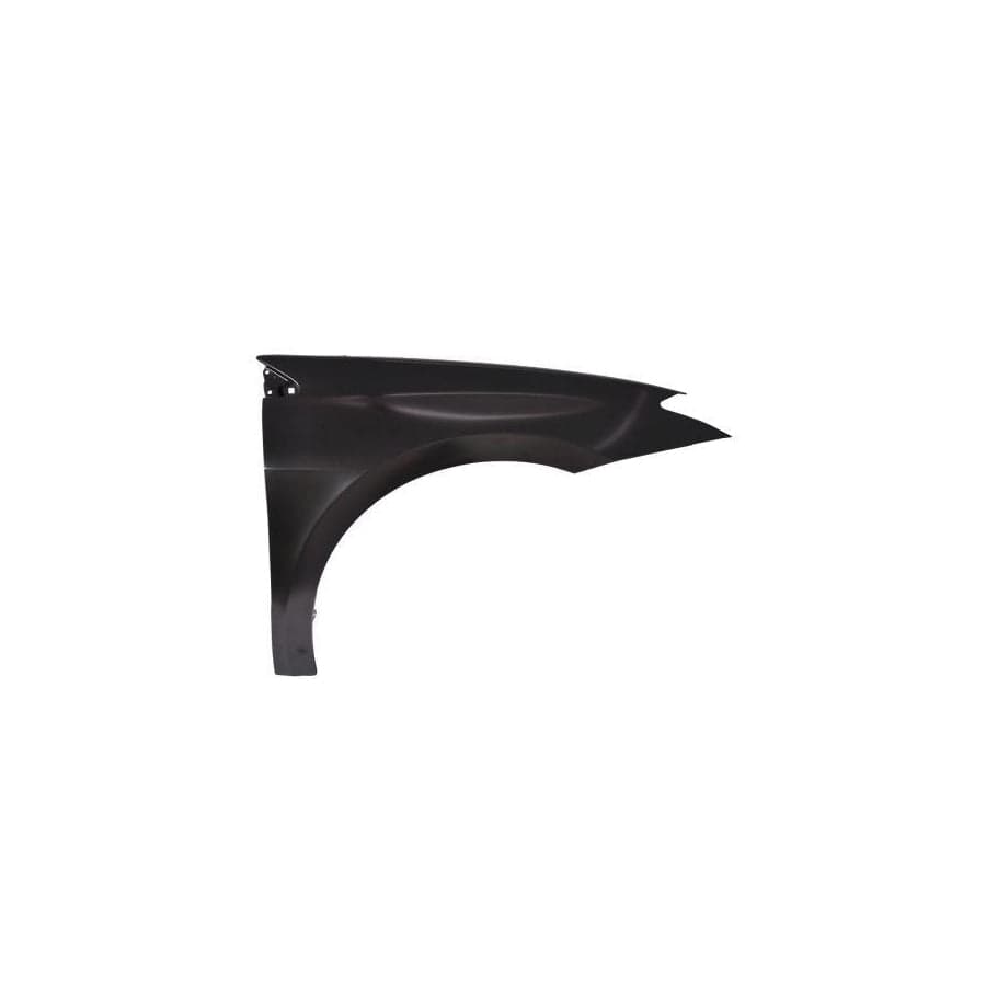 Abakus 04223202 Wing Fender for Renault Laguna