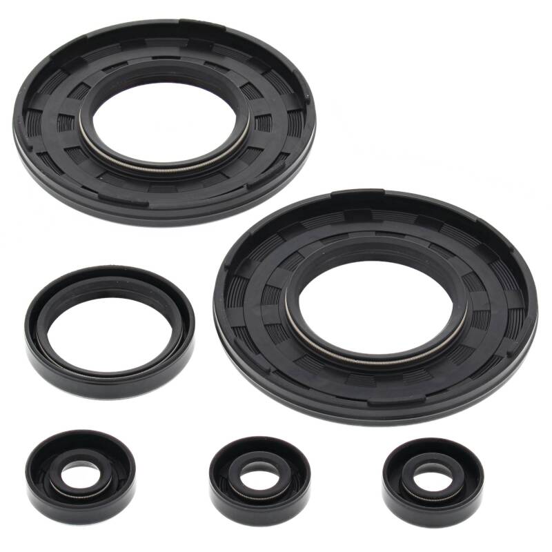 Vertex Pistons Vertex Gaskets 1998 Ski-Doo Formula III Oil Seal Kit